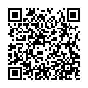 而其中更不乏有李庆和王元一张小飞全婵妤的好友二维码生成