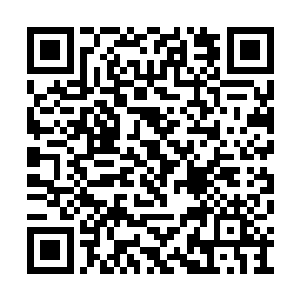 而其中有一部分军火确实是供应给卡纳维亚军的二维码生成
