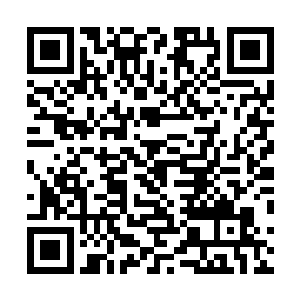 而其中的一名土人少女则是不断在给自己身边的弟弟打气二维码生成