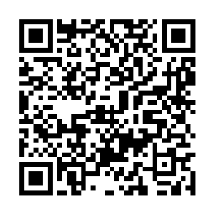 而其中的些微变化又能够导致解毒成功和解毒失败二维码生成