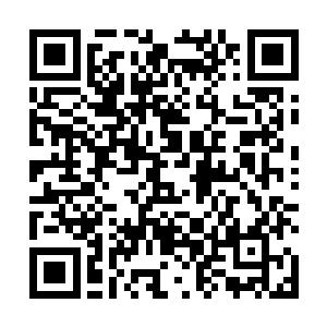 而其他三人以三比一的比例毫无悬念的否决了他的意见二维码生成