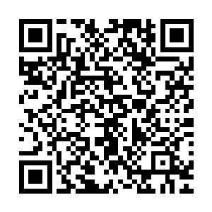 而其他九个家伙的注意力全都放在王斌和清心老道身上的时候二维码生成