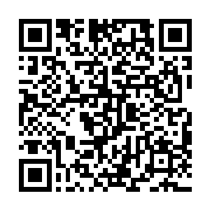 而其他众人都被流墨墨突发的状况和攻击弄的都有些懵了二维码生成