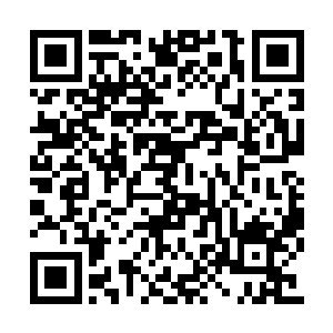 而其他十几个跟着一同训练的少年则是兴奋的很二维码生成