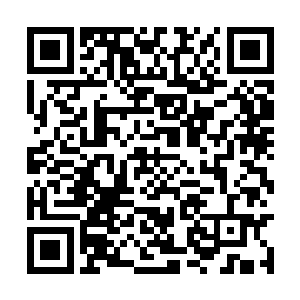 而其他少女看到队长的动作之后也安静的坐了下来二维码生成