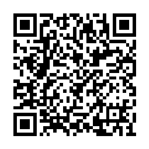 而其他派系的祖先和我的血缘关系就不是很亲了二维码生成