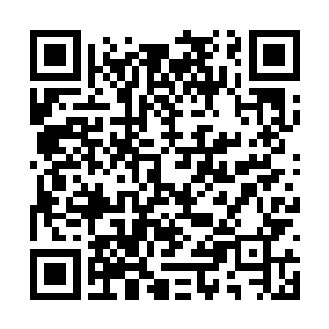 而其他的武者和基因战士也没有人再擅自闯入口了二维码生成