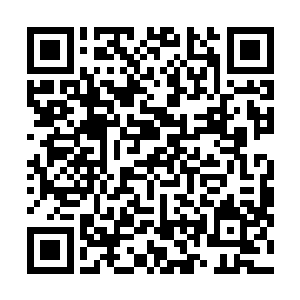 而其余十头王族妖侯则直接调动全部祖灵的力量发出一击二维码生成