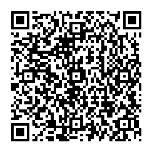 而其余的剩下的几个苟延残喘的几个深渊魔族的登天九重的高手此时也是满脸惊恐的望着龙傲天二维码生成