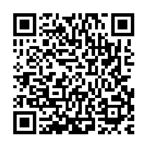 而冰眼火焰蛇则在杨晨进入灵谷的时候便从他的袖子中探出头来二维码生成