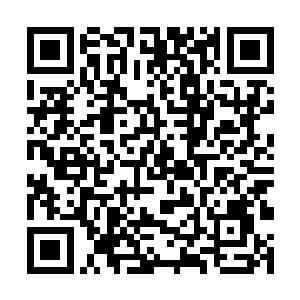 而冰箭落到龟壳上的声音就如同钢刀砍在石头上一样二维码生成