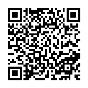 而凌秦早就准备好了专门负责检测婴儿身体各项数据的测试仪二维码生成