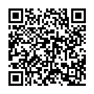 而凌菲明明看到他们那组每个人每只手都只有五个手指头二维码生成