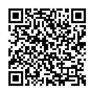 而几个三级术士只是矜持地点了点头就不去理会二维码生成