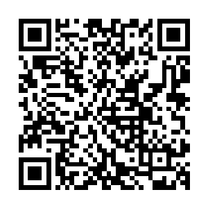 而凡是能够在本身修为还未到本源境巅峰时就领悟了规则之人二维码生成