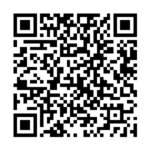 而凤聚仙山的那几个仙人得知师丝桐和敖火庆都是金仙二维码生成