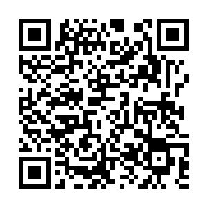而凯文炉火纯青的表演更是将角色的魅力推上巅峰二维码生成