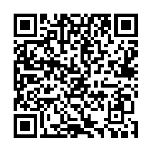 而凶兽是不可能化为人形并且时刻保持着蛮荒凶兽的风格二维码生成