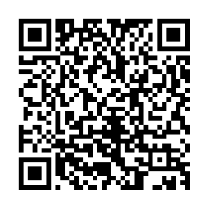 而切萨雷想在拍摄期间为她接洽一部动作片或者是文艺片来接档二维码生成