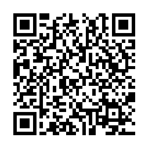 而刘秘书则是有些心惊胆颤地瞥了一眼墙上的钟表二维码生成