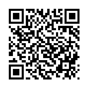 而刚刚叶秋骑在翼龙头上飞行的事二维码生成