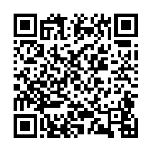 而刚刚莫小姐这句调查了全村所有人却是让得我恍然大悟二维码生成