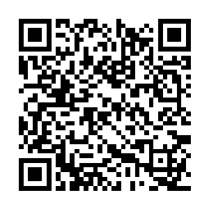 而刚刚那名多半是由塔灵所化的还真太始所说的话二维码生成