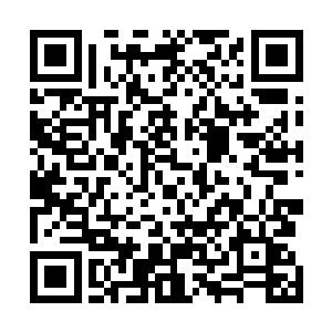 而刚才他们还想将这四个不知道天高地厚的小子揍一顿呢二维码生成