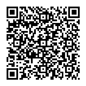 而刚才还犹如刀锋女皇一般的宁羽墨却像是一个乖巧的小媳妇似的跟在秦方的身边二维码生成