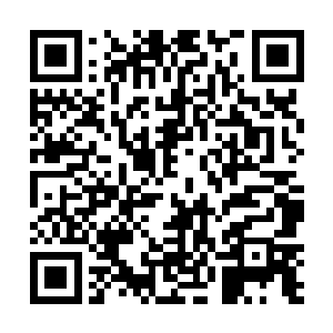 而初次学习御剑飞行的小蒙茵也根本把控不住力量分寸二维码生成