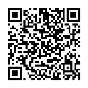 而前面奔跑着的那个人族战士再次陷入到了绝境之中二维码生成