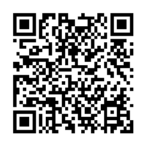 而剑兰也完全按照他故事中的描述一点一点的开放二维码生成