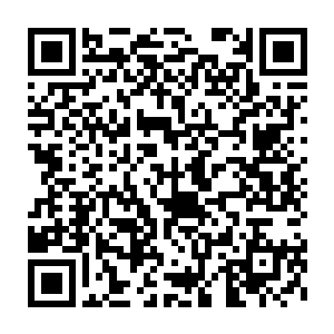 而剑尘的身躯也因为惯姓的作用如一颗炮弹似地向着前方火速冲去二维码生成