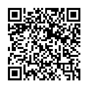 而剩余的部分就是原来雪儿的灵魂碎片复刻和婴儿肉身二维码生成