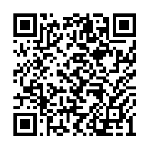 而加里布埃拉也不是僵硬的如同娃娃般矗在那儿二维码生成