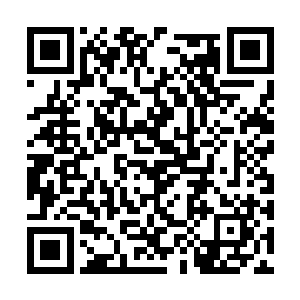 而努力平复自己激动心情的莱昂纳多深深地呼吸着二维码生成