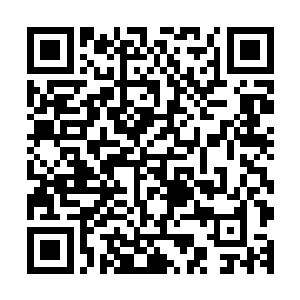 而勾连了整个身体内部世界的那个神秘的空之巫妖和时之巫妖二维码生成