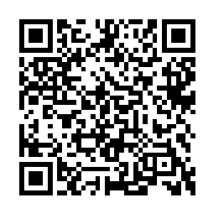 而北冥香韵看着苏凡鼻青脸肿的样子也是乐坏了二维码生成