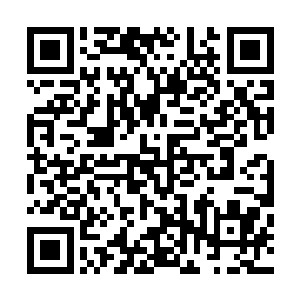 而北斗星君又在浮天大陆出现……难不成炼制掌教印的方法二维码生成