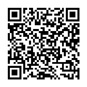 而十一个圣级大修士就如同一柄尖刀将那张大饼切开二维码生成