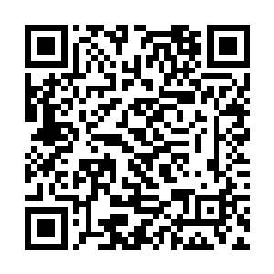 而华妮塔的塑造难点就在于她的强大自信和出众演技二维码生成