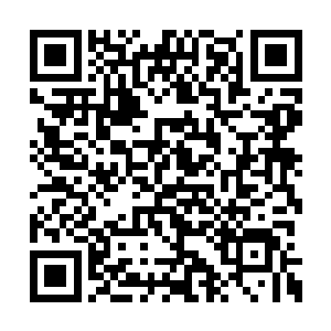 而卜仙虽然说是与仙乐师这类仙人同属特殊仙人二维码生成