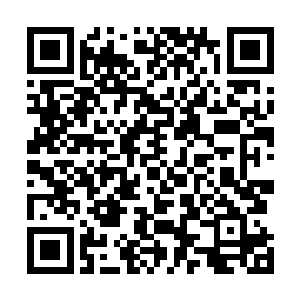 而卢楠甚至私下的告诉他应当好好结交好陆为民这条关系二维码生成