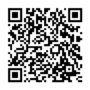 而原因二和原因三更多变成了对原因一和原因四的合理性解释二维码生成