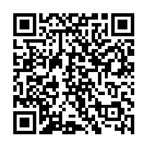 而原因是因为这一次出来的三十六洞天福地的人当中二维码生成