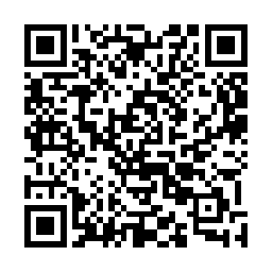 而原战和猛就这么被山神大人给遗忘在雷神的口水中……二维码生成