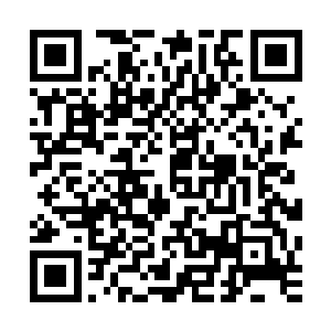 而原本兴致勃勃准备科普的敖无暇只看着流墨墨那专注的眼神二维码生成