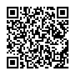 而原本就在虫黄池里面的五级虫族也都不敢在这里面逗留二维码生成