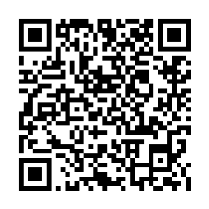 而原本幸灾乐祸的怒焰部族人们却都是脸色陡变二维码生成