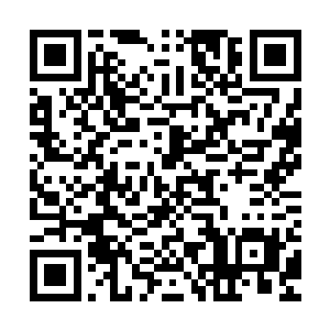 而原本憋着一肚子气的姜家老祖宗这个时候却觉得气一下子顺了二维码生成